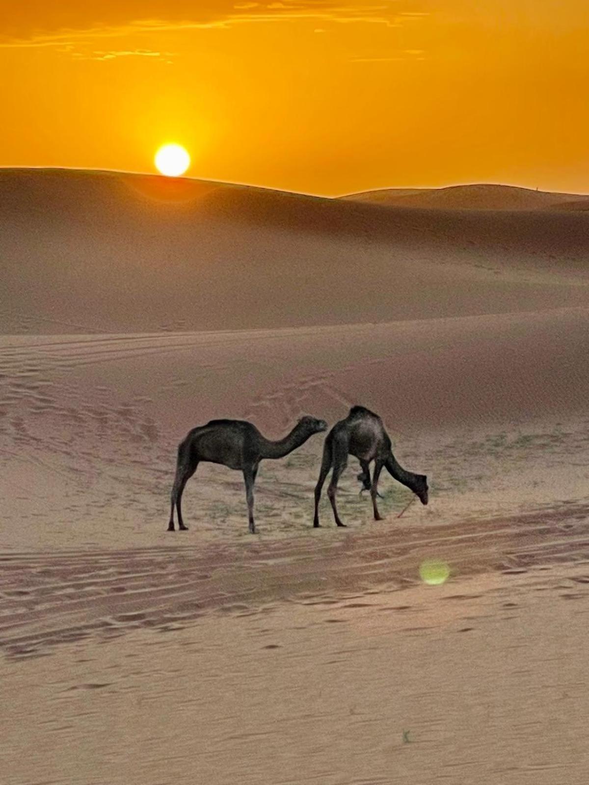 Chigaga Desert Camp M'Hamid Exteriér fotografie